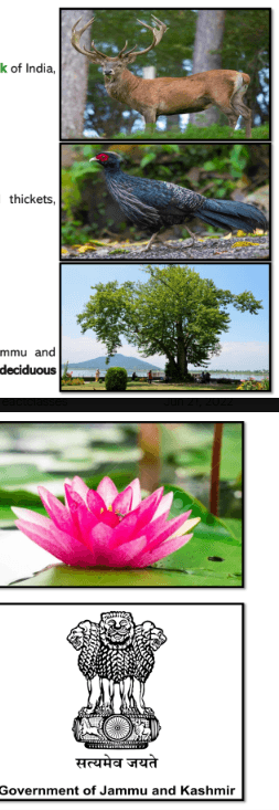 Pasted image 20260813002834